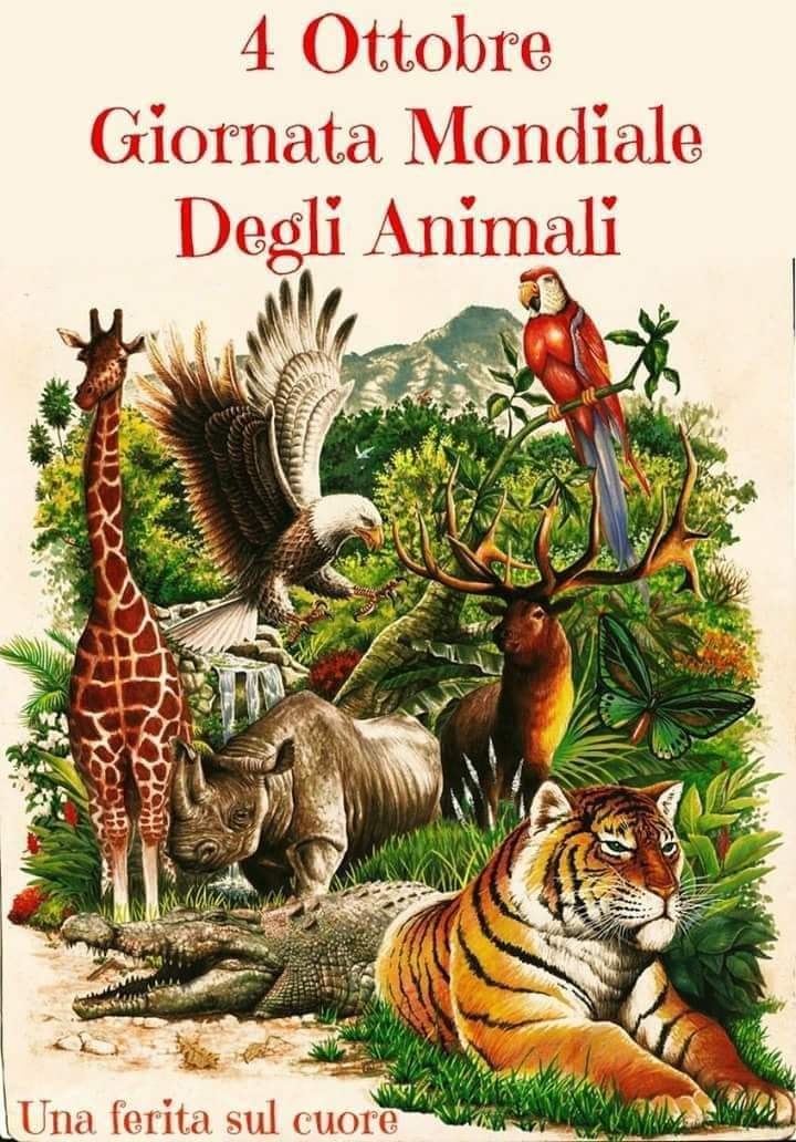 October 4th, the World Animal Day