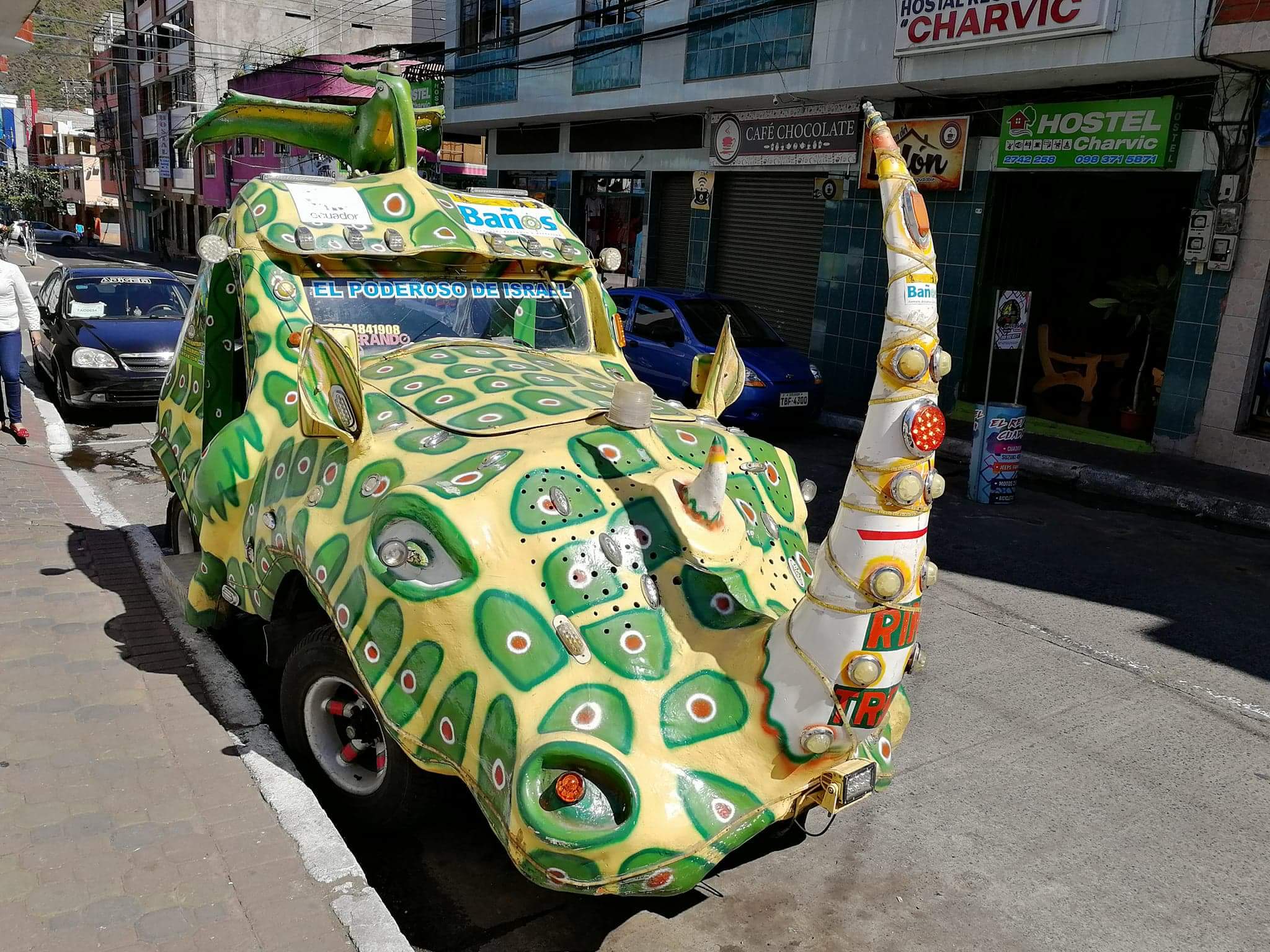 the rhino car