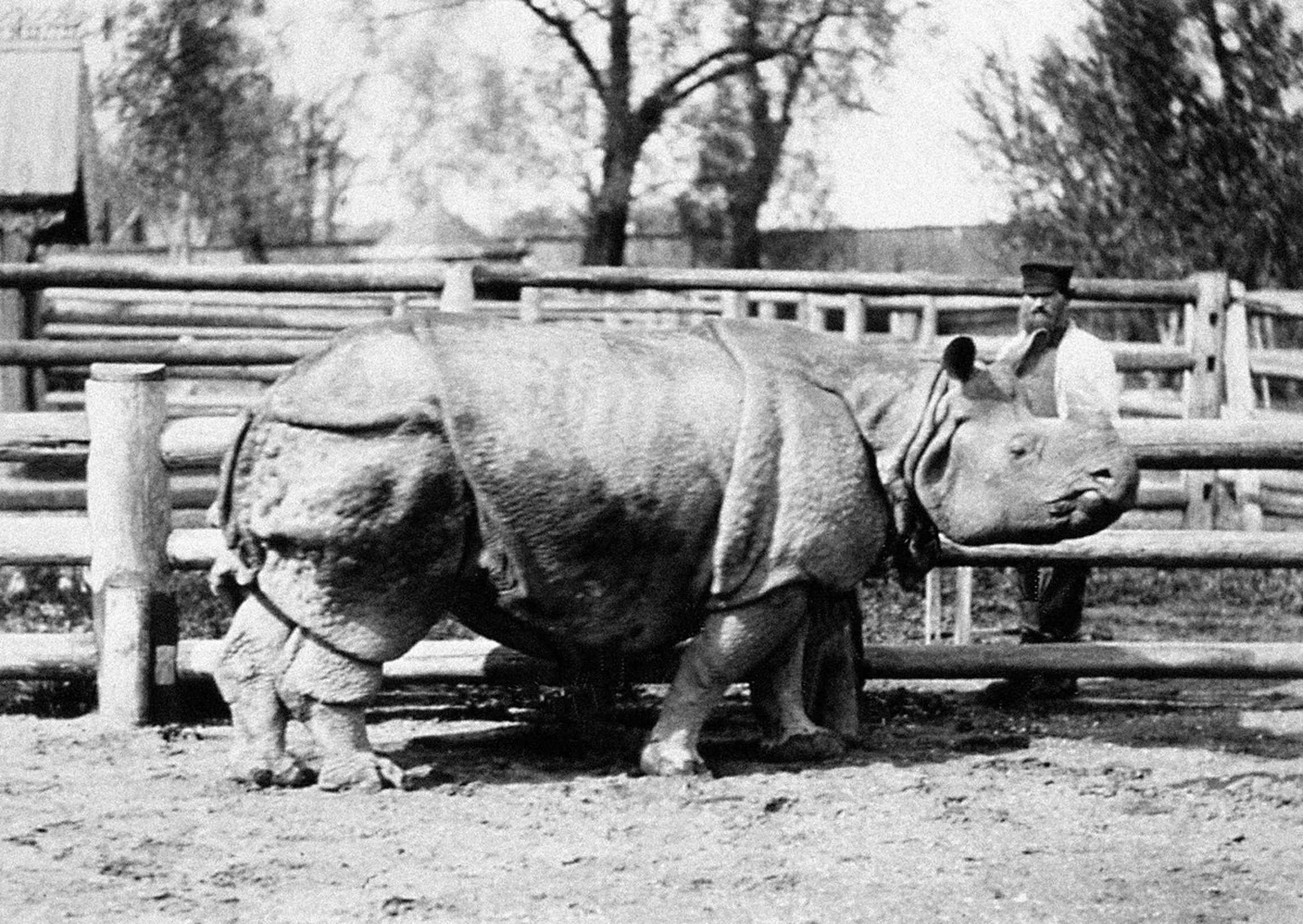 Moscow Zoo 19th century