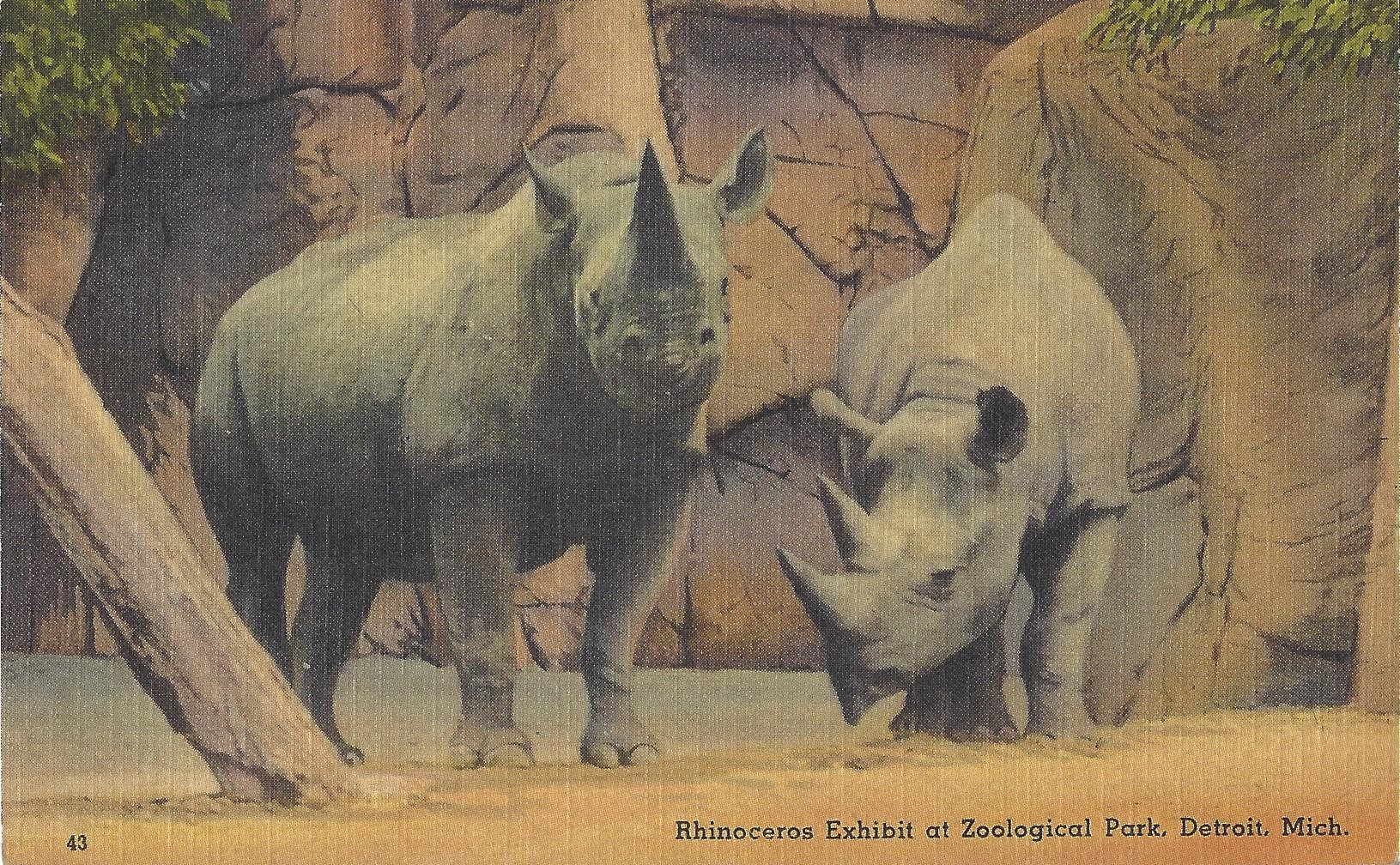 Johnny and Faro in an outdoor barless enclosure