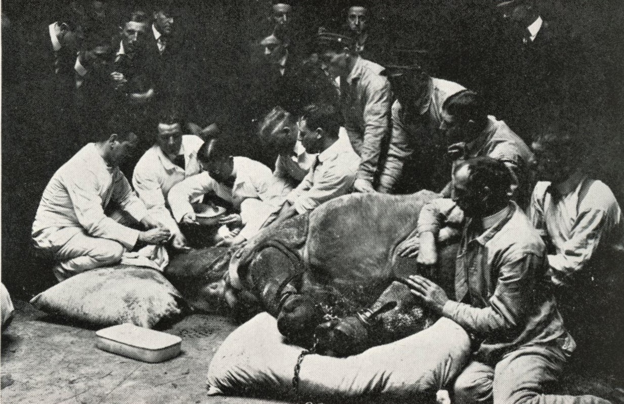 Mogul’s left eye is repaired June 4th