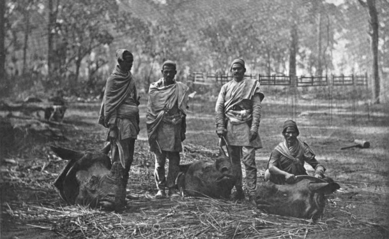 Big game hunting in Nepaul