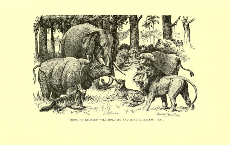 Stabley Dark Companions 215