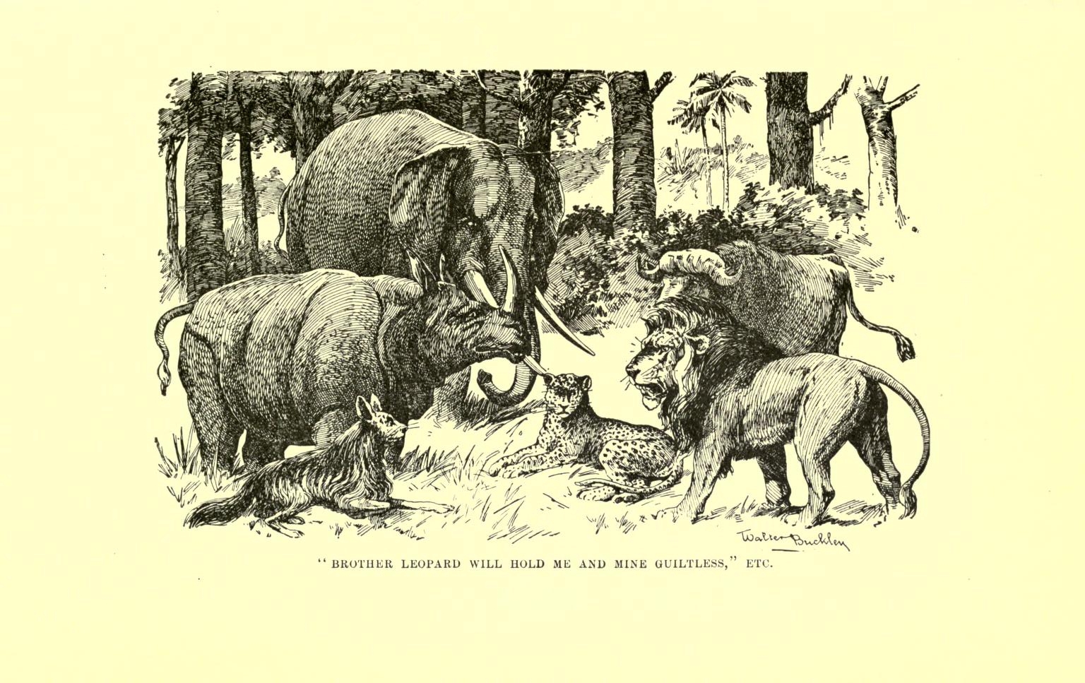 Stabley Dark Companions 215