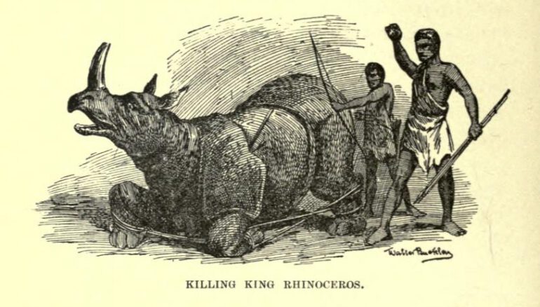Killing King Rhinoceros