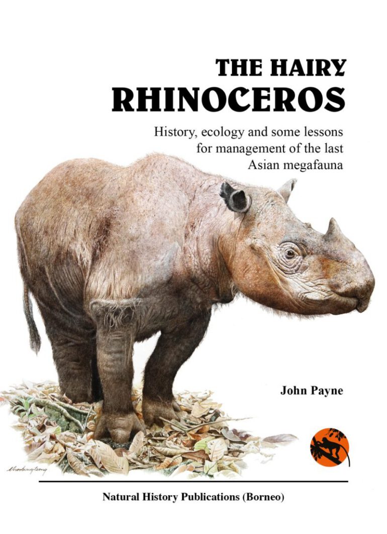 The Hairy Rhinoceros – cover