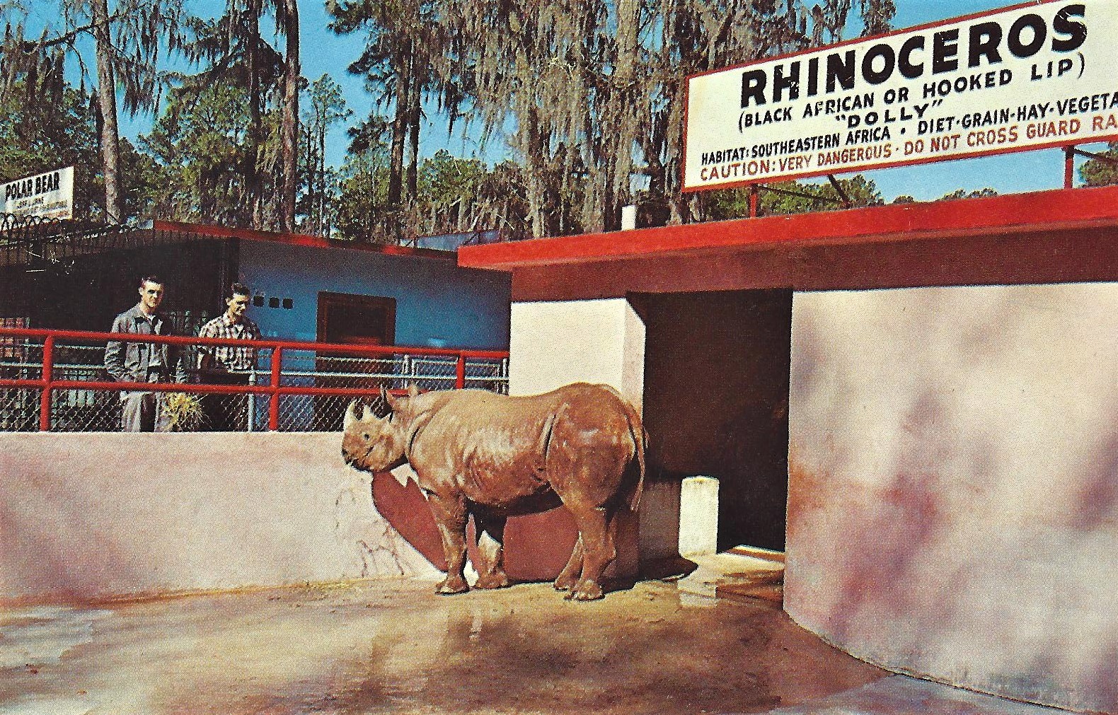 Dolly at the Jacksonville Zoo in Florida