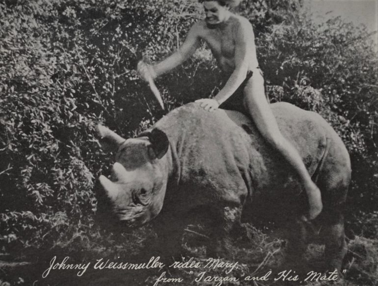 Tarzan with Mary the Black rhinoceros
