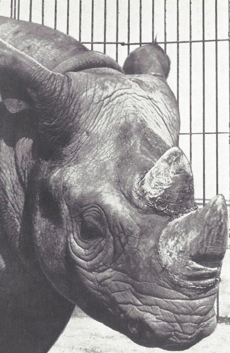 Bobby at Ringling Bros. Barnum and Bailey circus