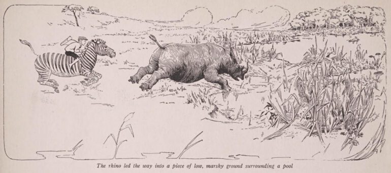 Jack Jingling pursuing rhino 53