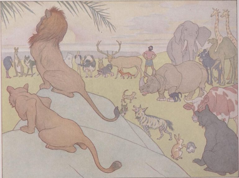 Boyd Smith on the Ark