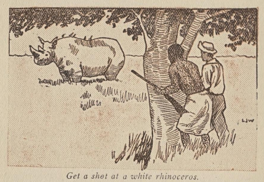 Willie Wyld and white rhino