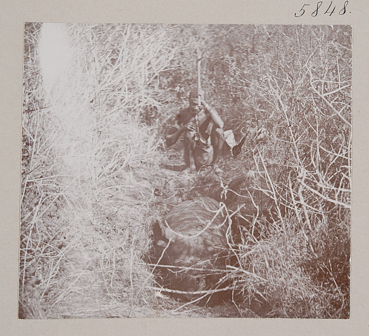 Rhino in pit in Tanzania