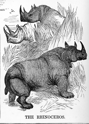 Kind little children 1873