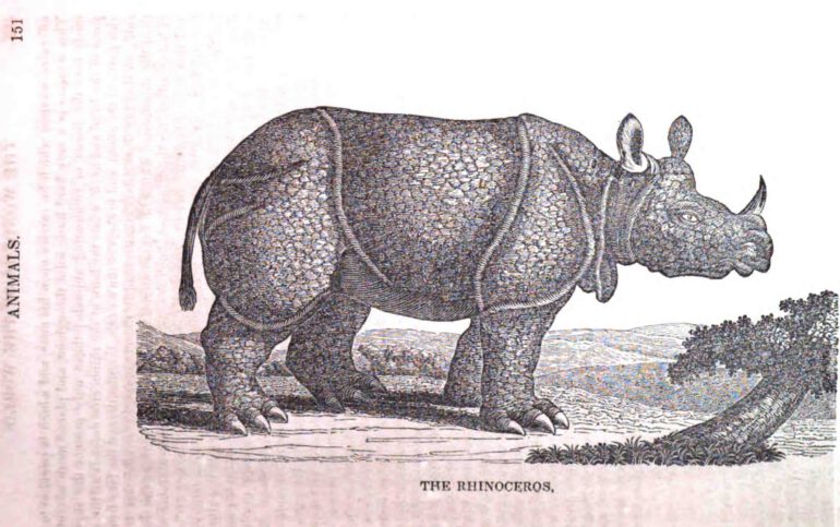 Sears Wonders of the World