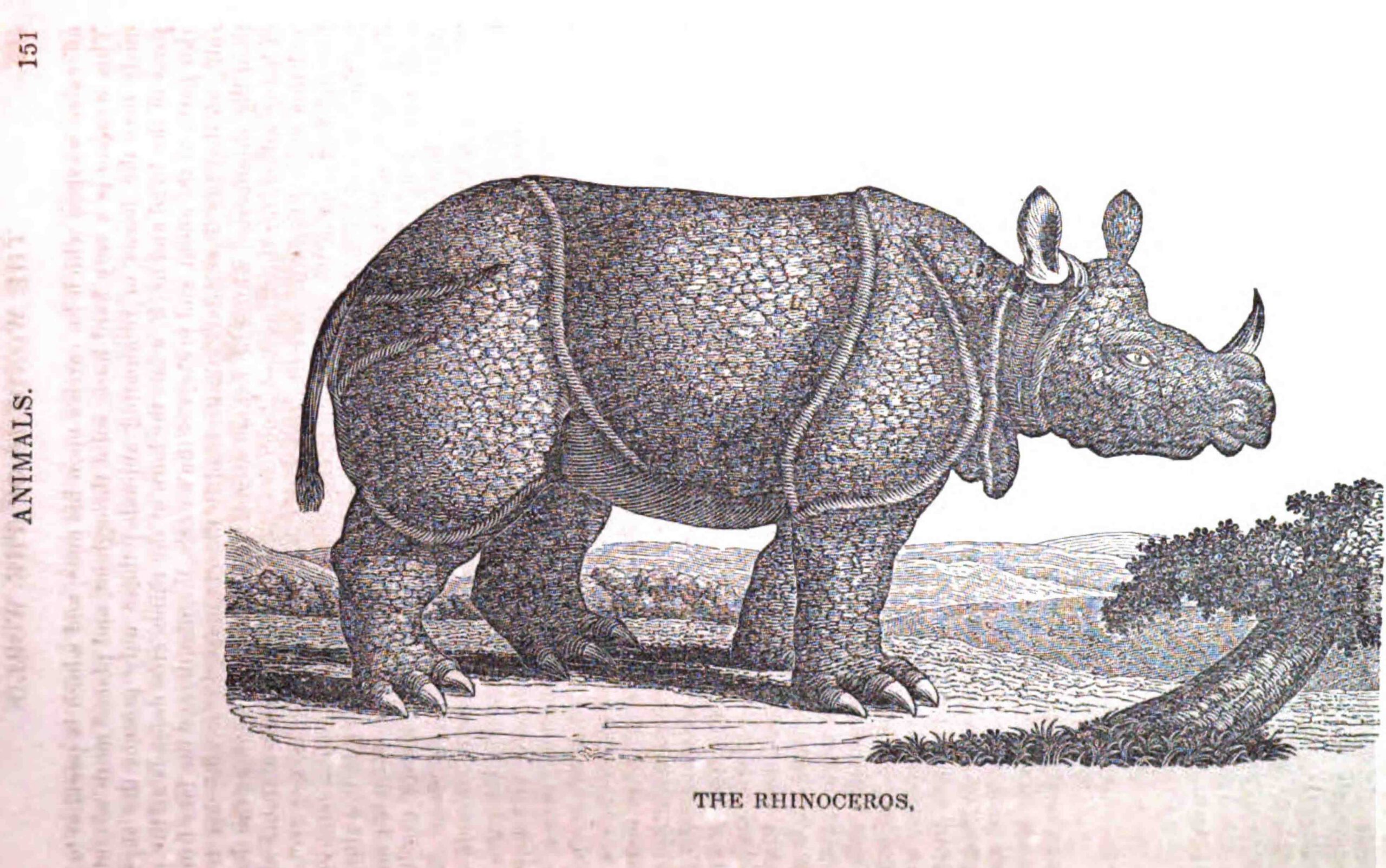 Sears Wonders of the World