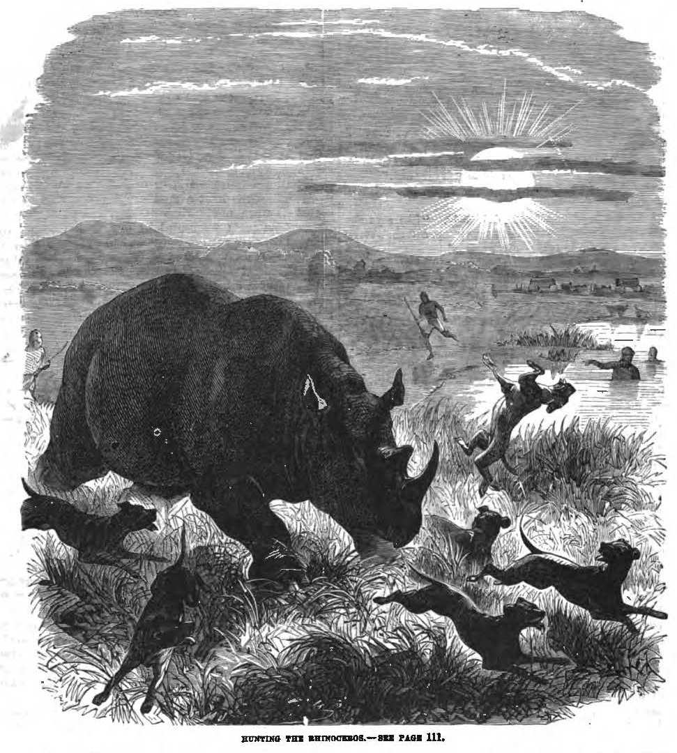 Hunting the rhinoceros