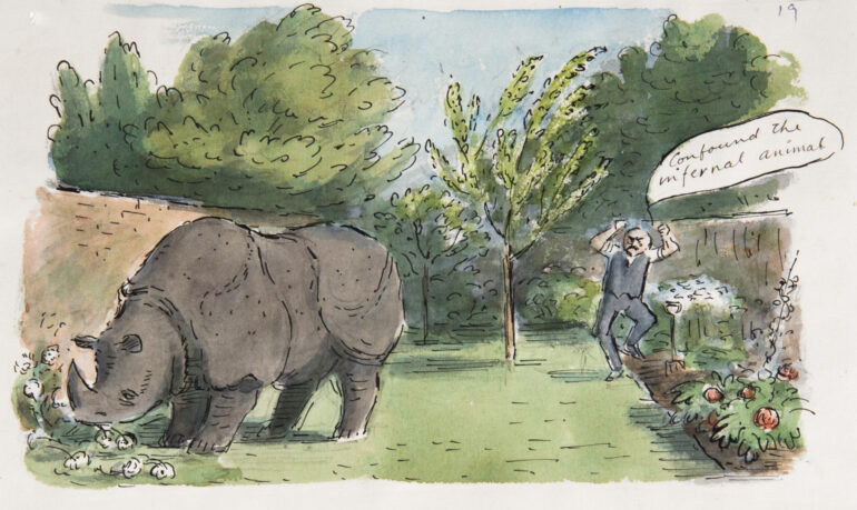 Rhino eating dahlias