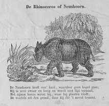 Prenten Magazijn voor de jeugd