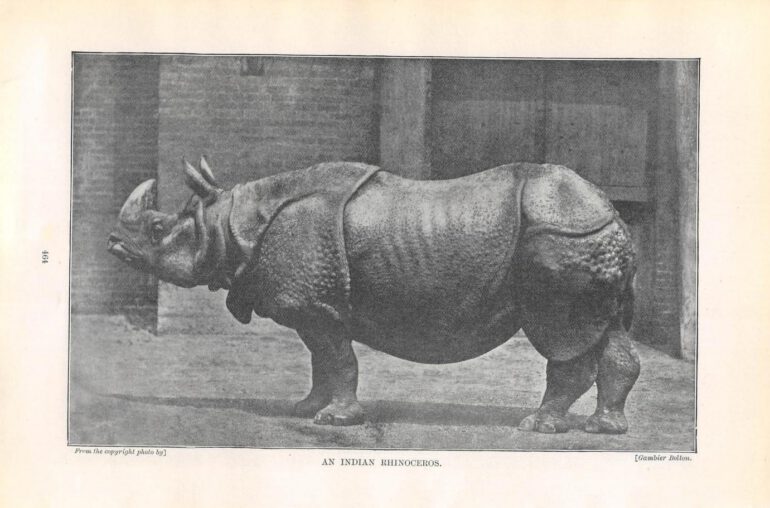 Jim at the London Zoo