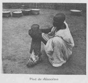 Feet of West African black rhino