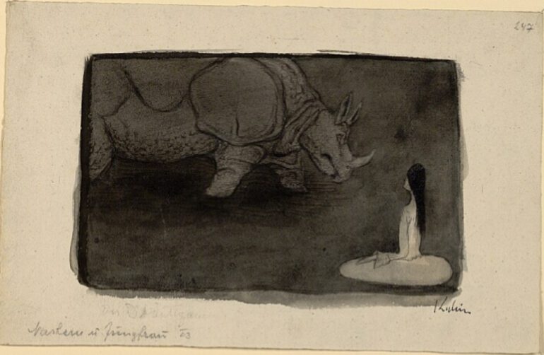 Kubin Rhino 1903
