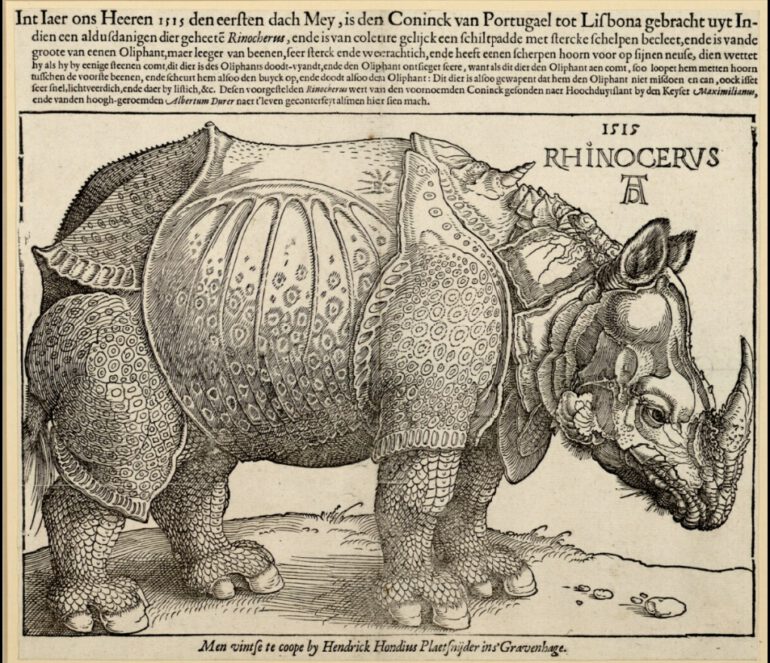 Durer woodcut 1515 Hondius edition