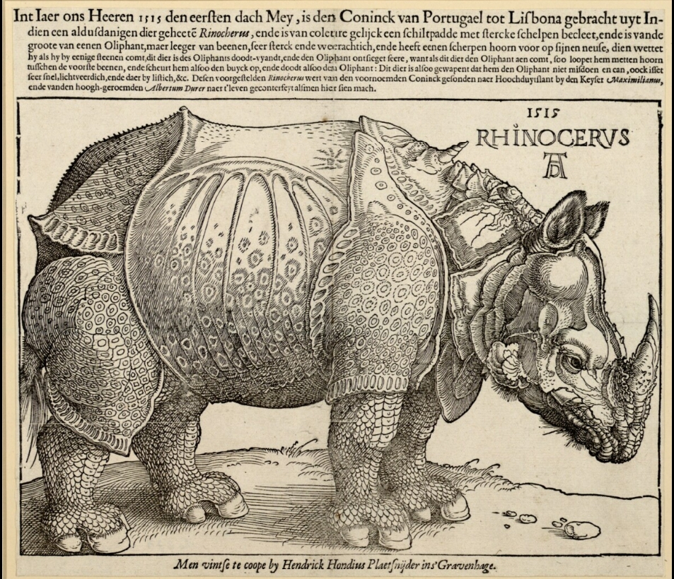 Durer woodcut 1515 Hondius edition