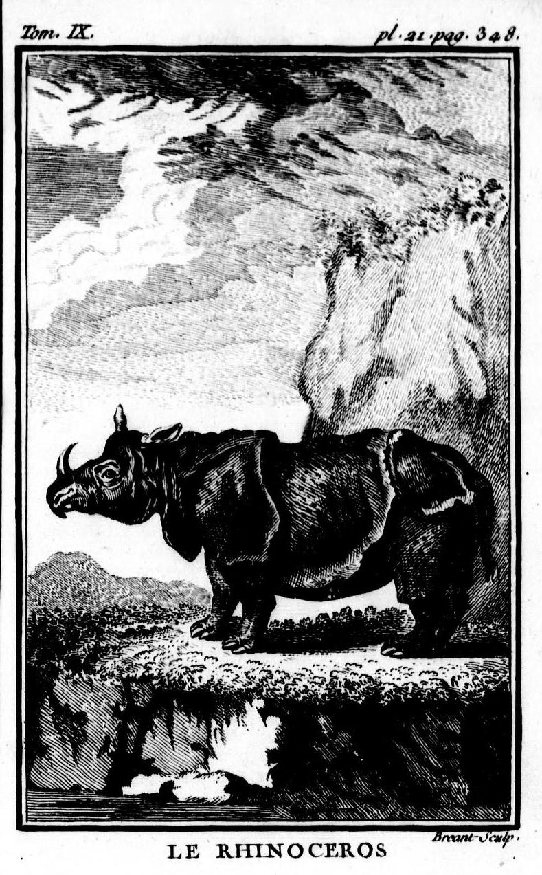 Buffon Rhinoceros by Breant 1769
