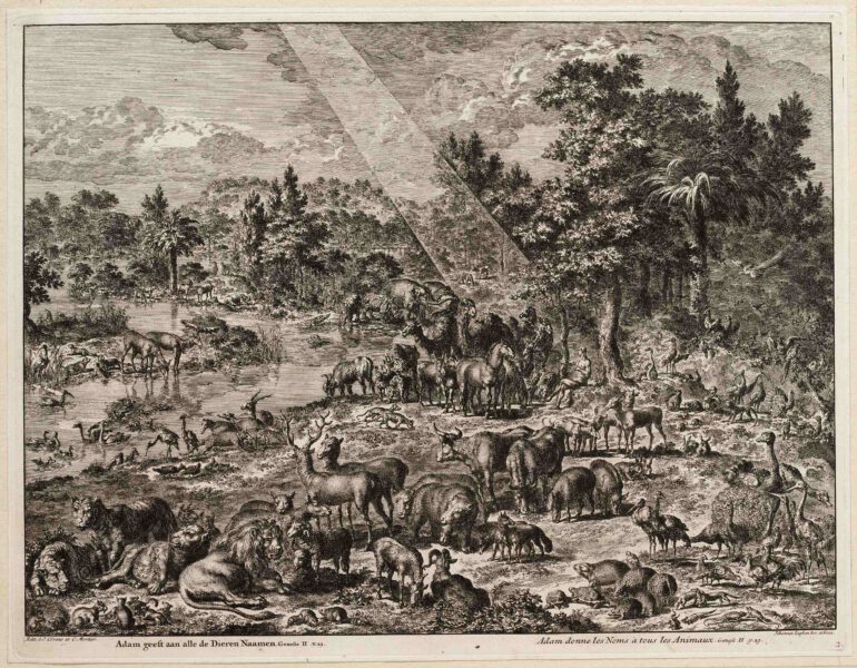 Adam names animals – Luyken 1708