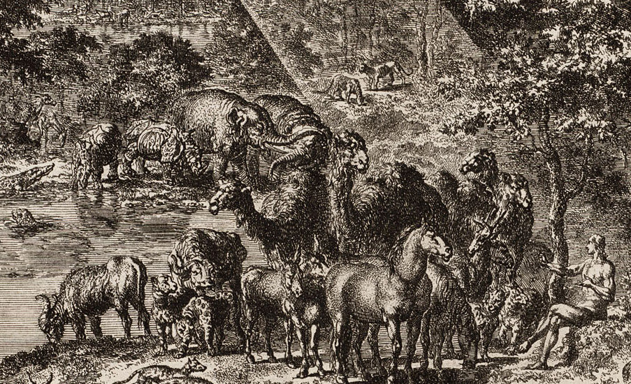 Adam names the rhinoceros – Luyken 1708