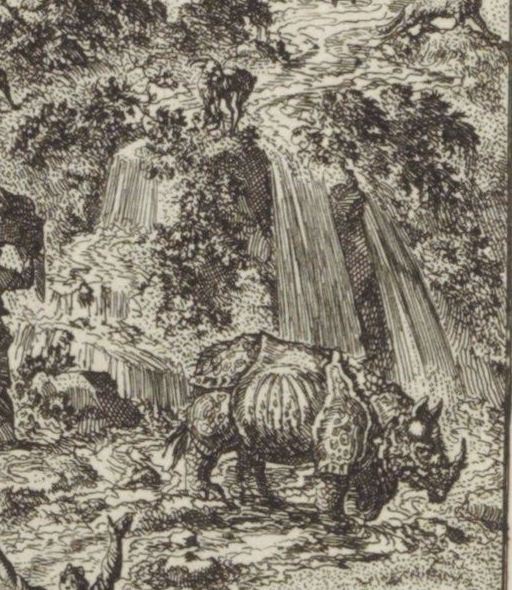 Rhino in the Deluge – Luyken 1708