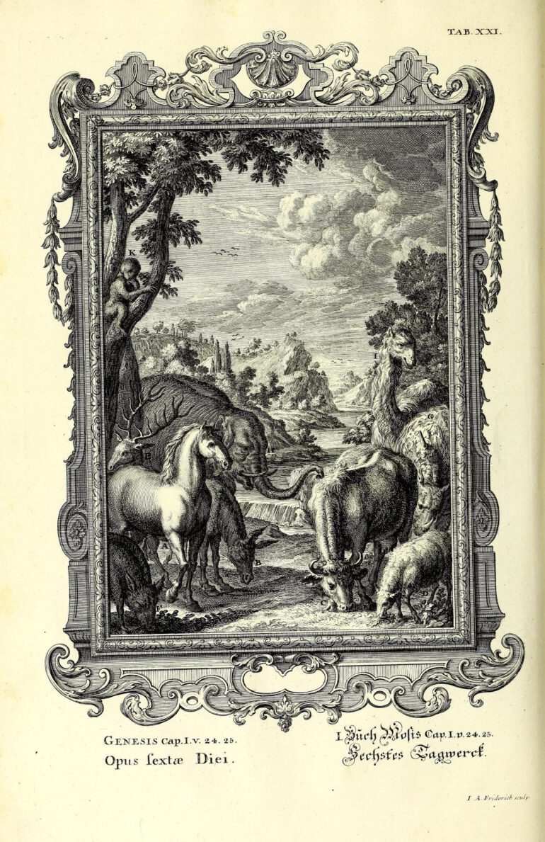 Scheuchzer Physica Sacra pl. 21