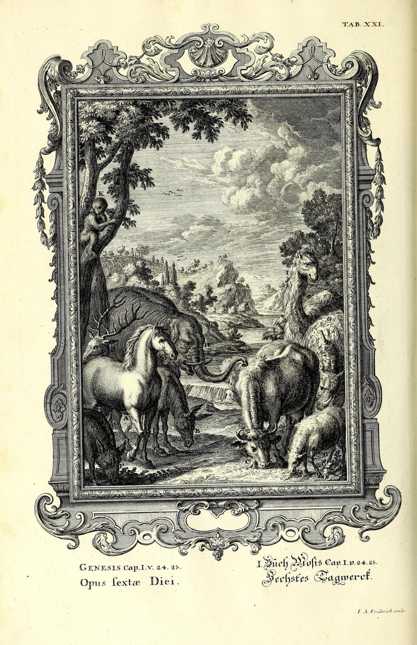 Scheuchzer Physica Sacra pl. 21