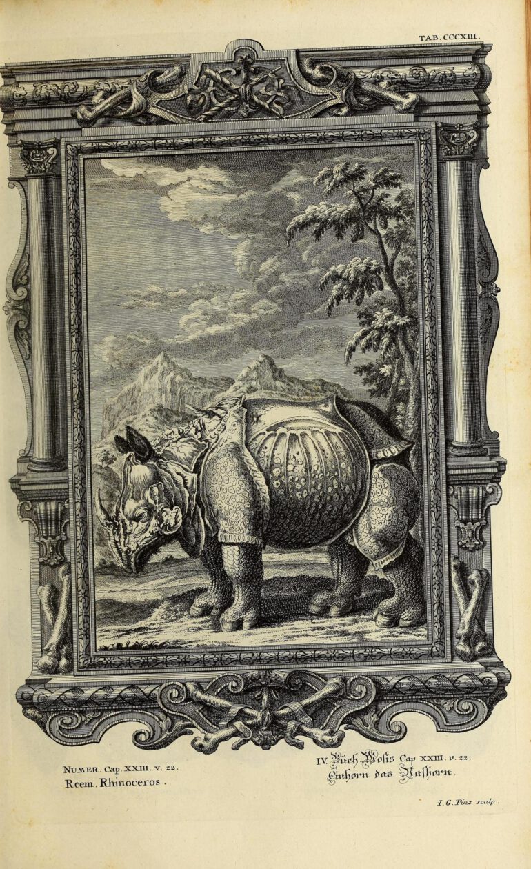 Scheuchzer Physica Sacra pl. 313