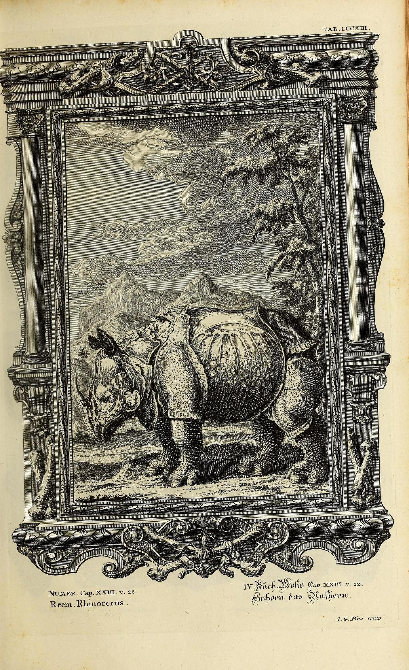 Scheuchzer Physica Sacra pl. 313