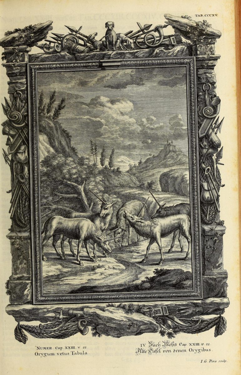 Scheuchzer Physica Sacra pl. 315