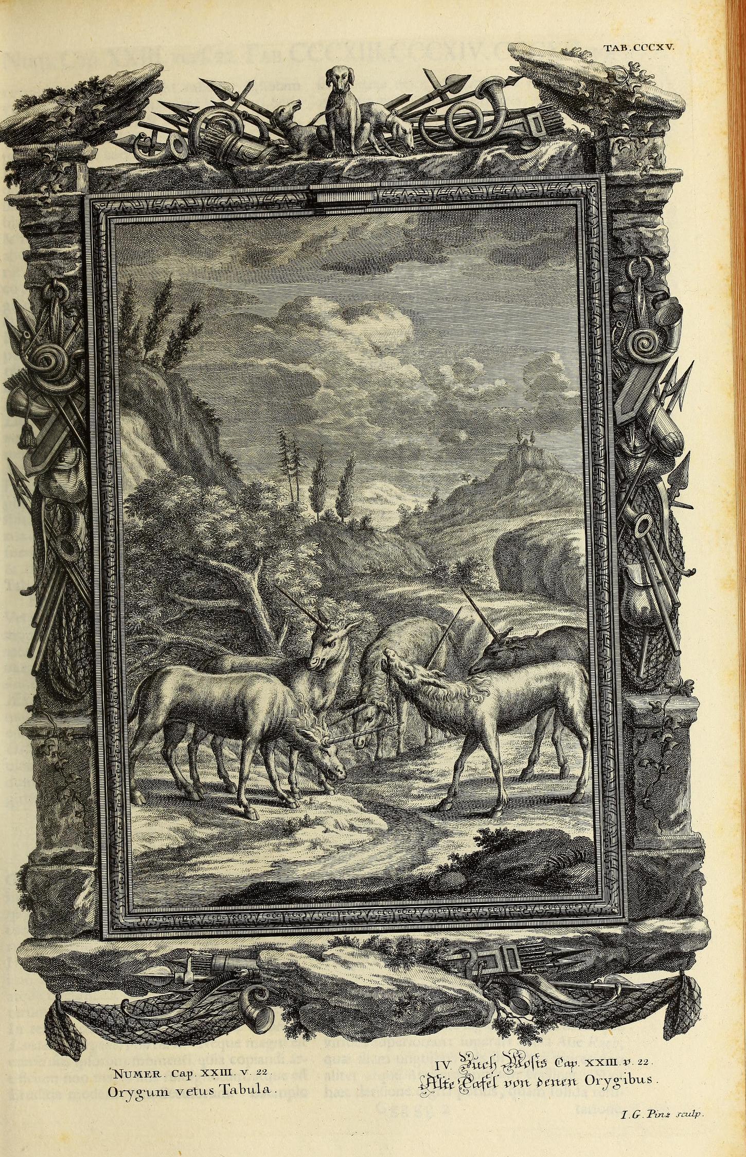 Scheuchzer Physica Sacra pl. 315