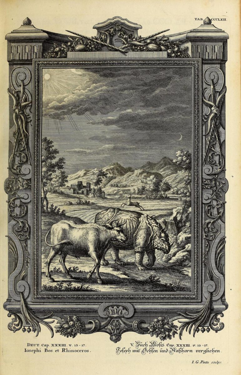 Scheuchzer Physica Sacra pl. 362