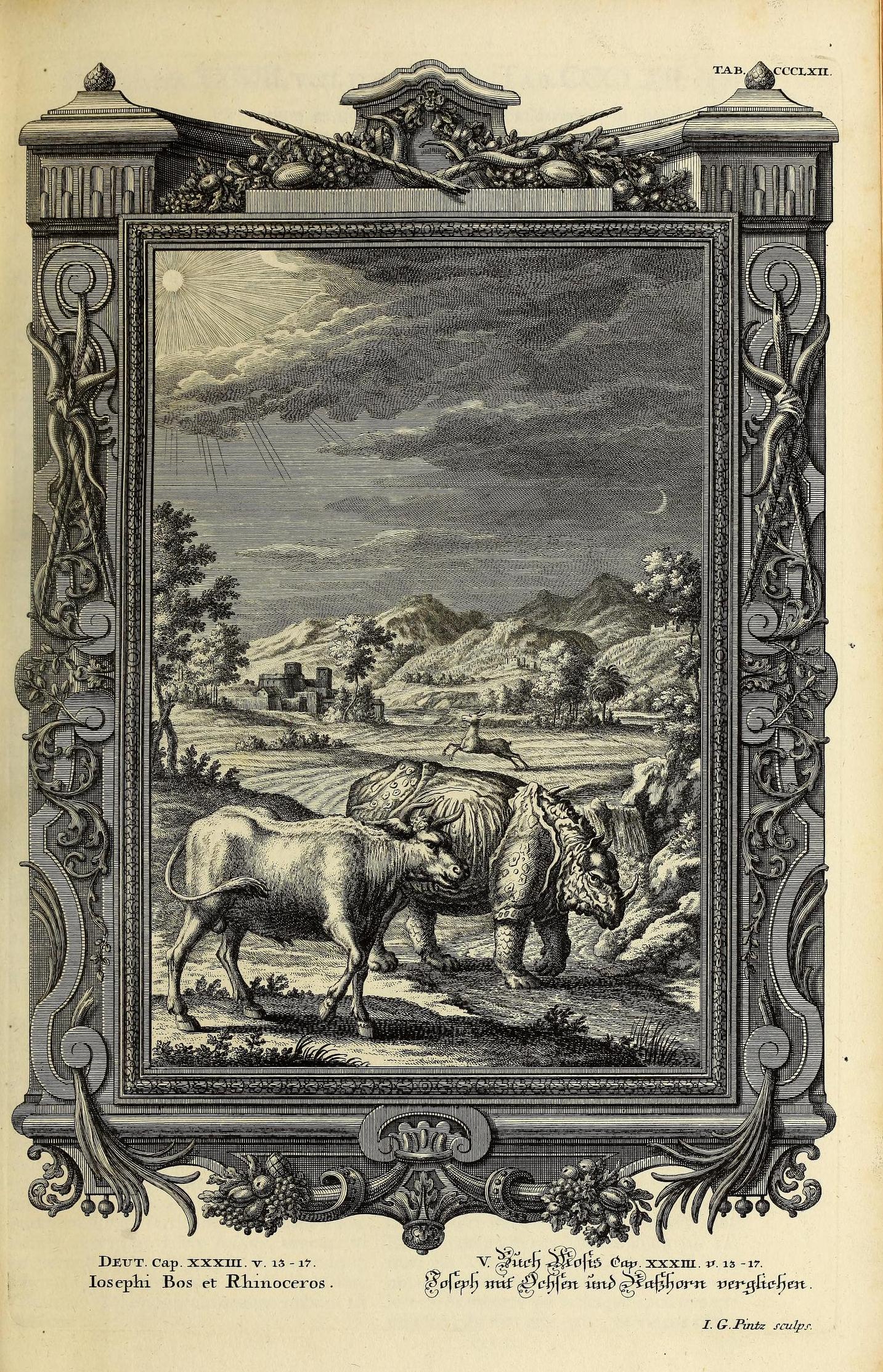 Scheuchzer Physica Sacra pl. 362