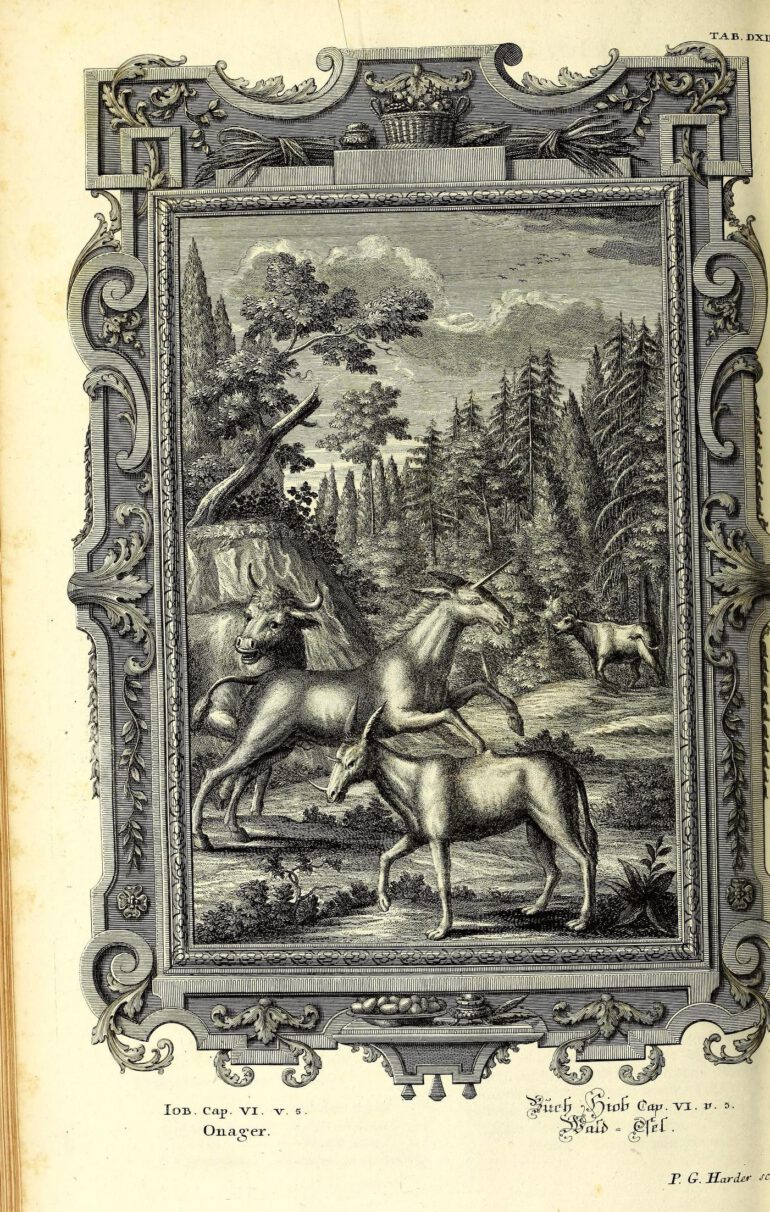 Scheuchzer Physica Sacra pl. 512