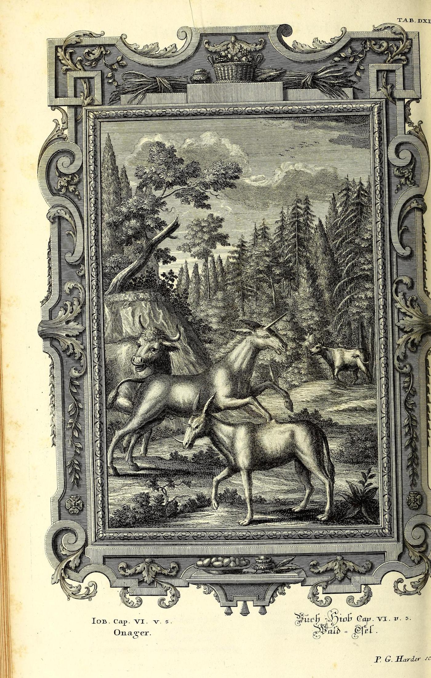 Scheuchzer Physica Sacra pl. 512