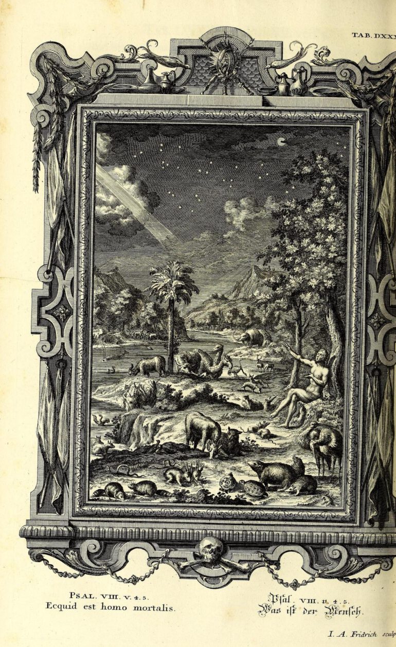 Scheuchzer Physica Sacra pl. 537