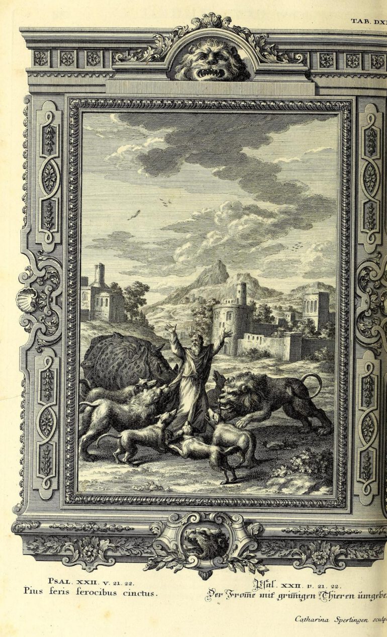 Scheuchzer Physica Sacra pl. 542