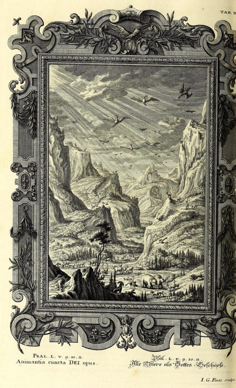 Scheuchzer Physica Sacra pl. 551