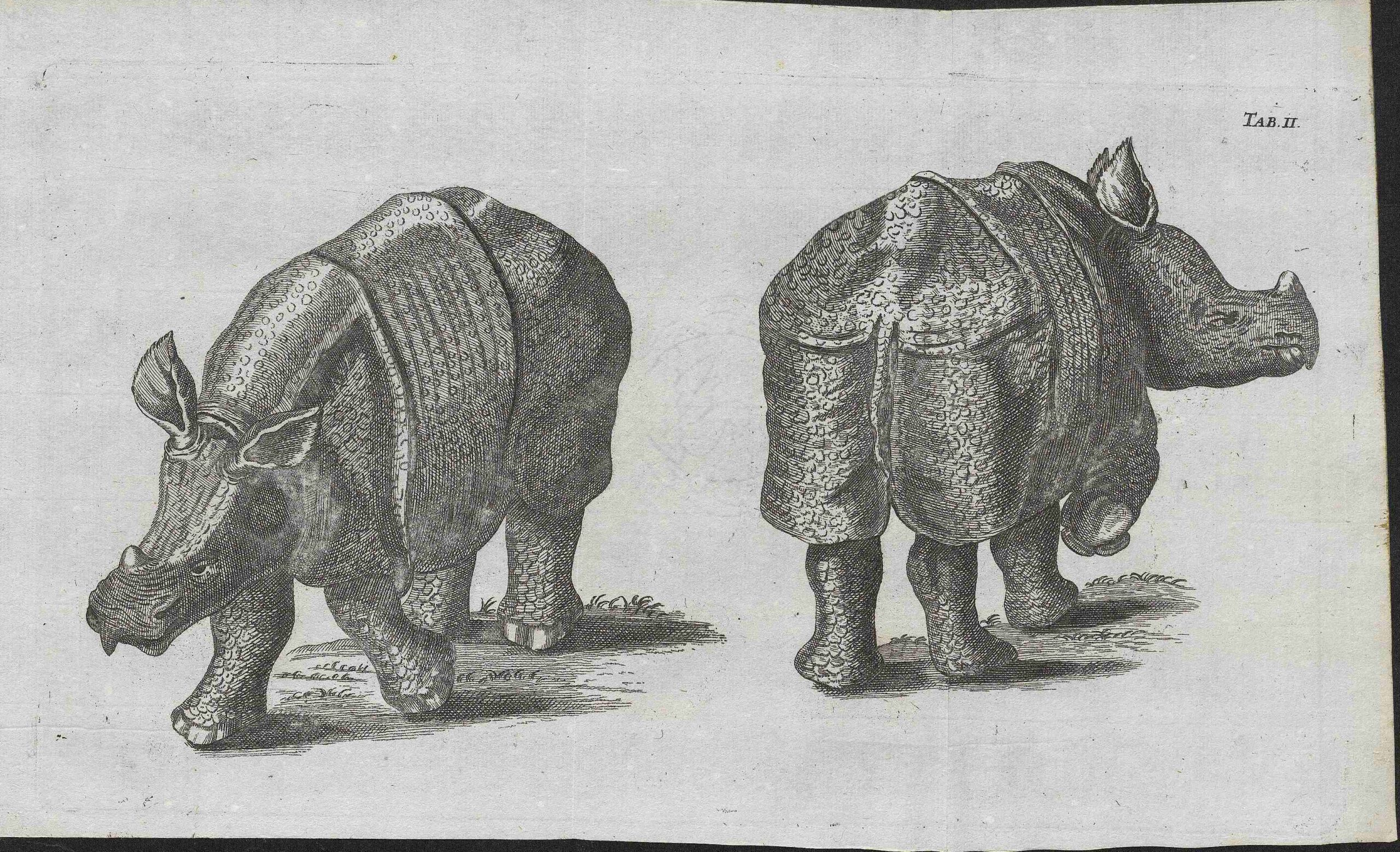 Parsons 1747 German plate 2