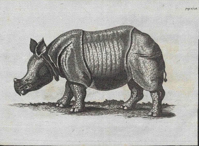 Parsons 1747 German plate 1