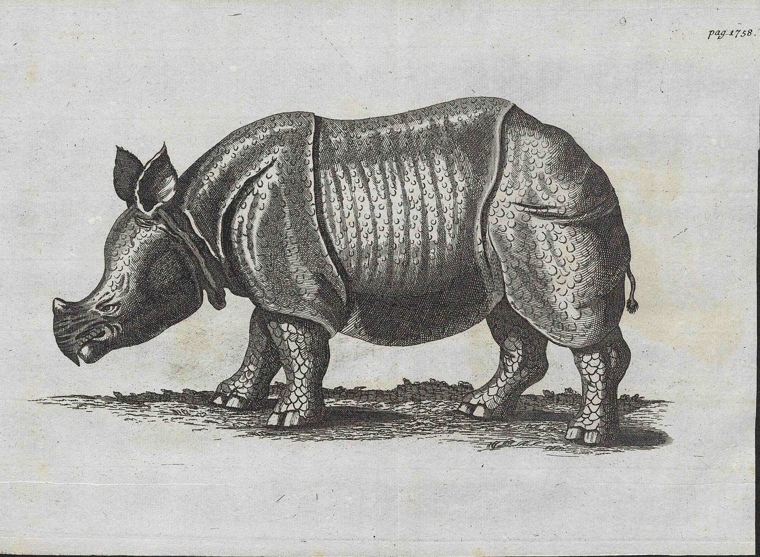 Parsons 1747 German plate 1