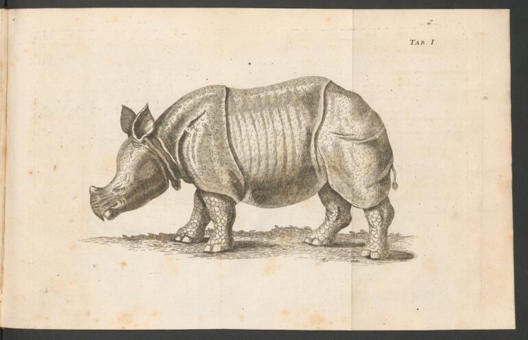 Parsons 1747 German Tab. I