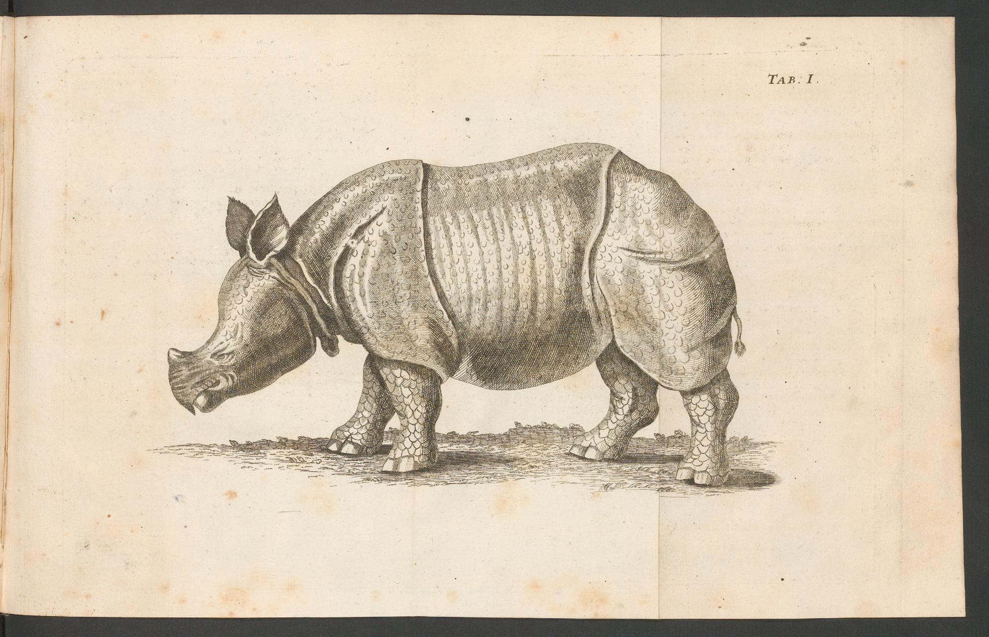 Parsons 1747 German Tab. I